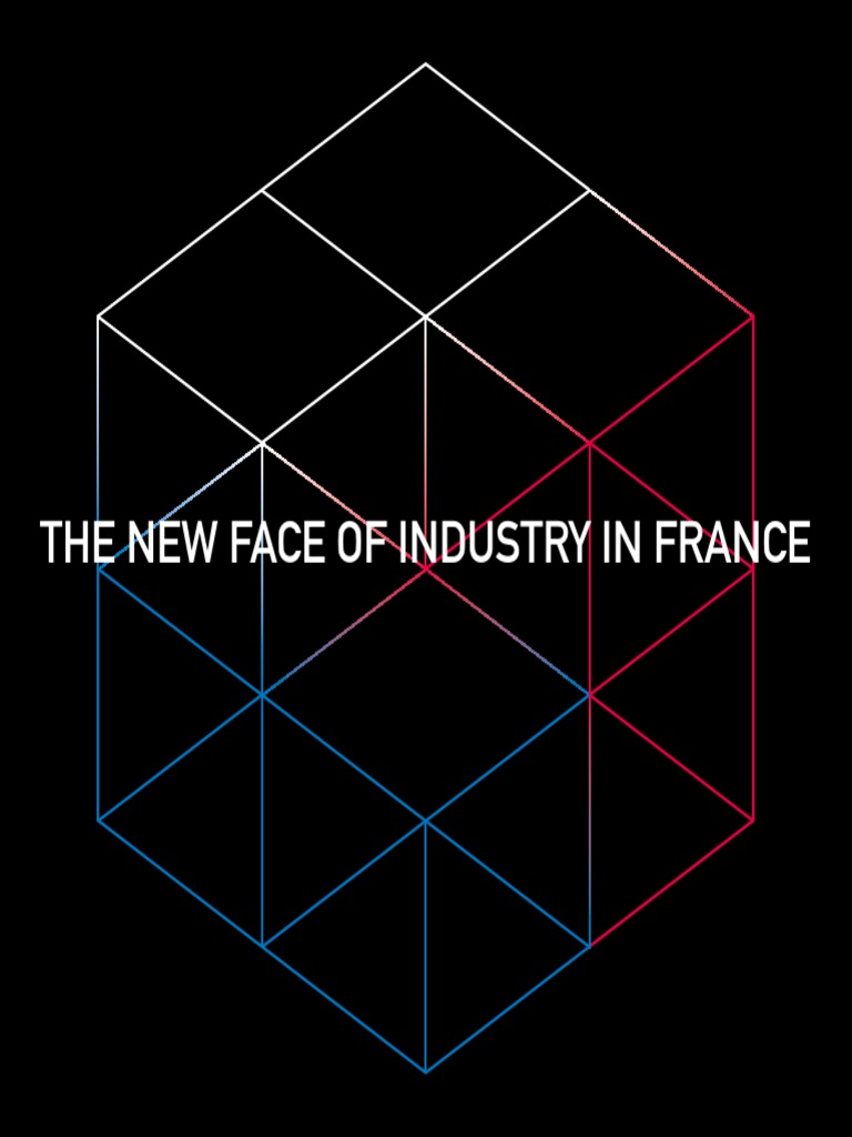 France's Industrial Revival Plan | PDF | Smart Grid | Renewable Energy