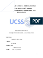 Universidad Católica Sedes Sapientiae PDF