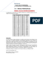 Practica Dirigida_Encauzamiento_2017 II.doc