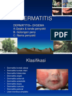 Dermatitis 2017