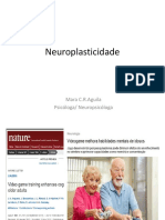  Neuroplasticidade