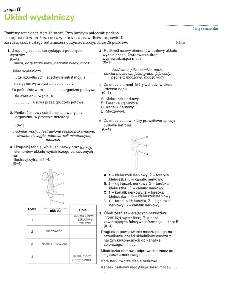 Układ Wydalniczy Sprawdzian Nowa Era Pdf