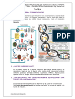 TAREA