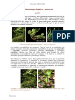 Briofitos (musgos, hepaticas y antoceros).pdf