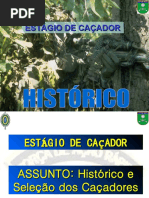 Histórico do Caçador