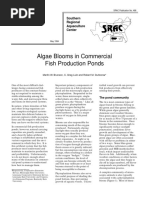 algae bloom.pdf