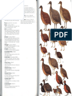 docslide.us_laminas-hilty-brown-1986-birds-of-colombia.pdf