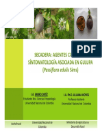 FUSARIOSIS EN GULUPA.pdf
