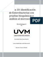 Identificación de enterobacterias