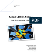 Consultoría Social PDF