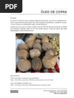 113 Extracao Oleo de Coco