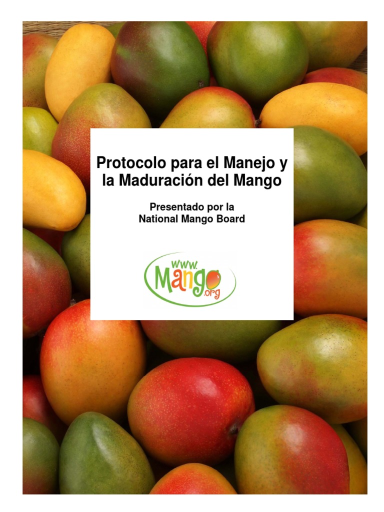 Mango Handling and Ripening Protocol SPN | PDF | Refrigeración | Mango