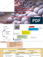 Epi Candidiasis