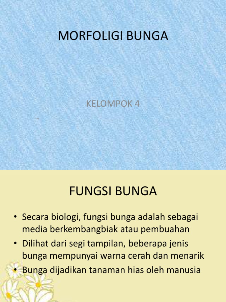 Terkeren 28 Sketsa  Bunga Kembang Merak Koleksi Bunga HD