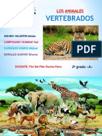 ANIMALES VERTEBRADOS.pdf