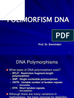 5.DNA Polimorfism