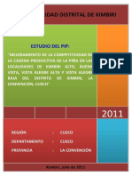 PIÑA APROBADO AGOSTO 2011.docx