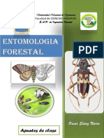 Entomología forestal: Aspectos generales sobre las plagas de insectos forestales