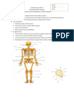 Lembar Kerja Siswa Rangka Manusia