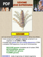 03 Gene Expression