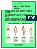 comoobtienennutrientelascelulas-130617195322-phpapp02