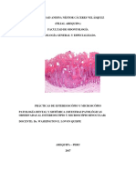 Guia de Patologia General y Especializada (Practica Nro 15.)