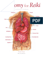 Anatomy For Reiki.pdf