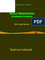 Surface Manifestations (2) (8!10!2013)
