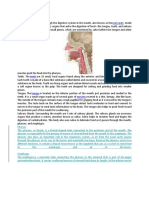 Digestive System Functions