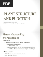 Handout - Plant Structure and Function