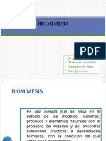 Biomisesis PDF