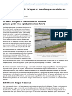 La Correcta Circulación Del Agua en Los Estanques Acuícolas Es Crítica