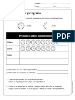 Completando Un Pictograma: Promedio de Vida de Algunos Mamíferos