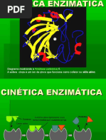 CINÉTICA ENZIMÁTICA