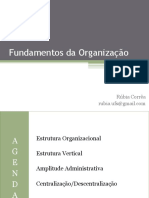 Fundamentos Da Organização