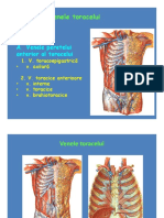 Sistemul vascular - veneIII.pdf