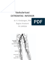 Vascularisasi Extrem - Inferior