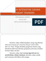 Pengaruh Intensitas Cahaya Terhadap Tanaman