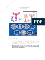 1 LP Kontrasepsi
