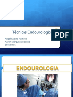 Endourologia