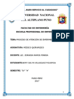 Universidad Nacional Del Altiplano Puno: "Año Del Buen Servicio Al Ciudadano"