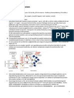 Anemii 1.2 - Anemii Hipocrome Microcitare