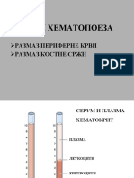 KRV I Hematopoeza