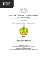 Download Laporan Anatomi Ayam Jadi by apapunbisa SN365090765 doc pdf