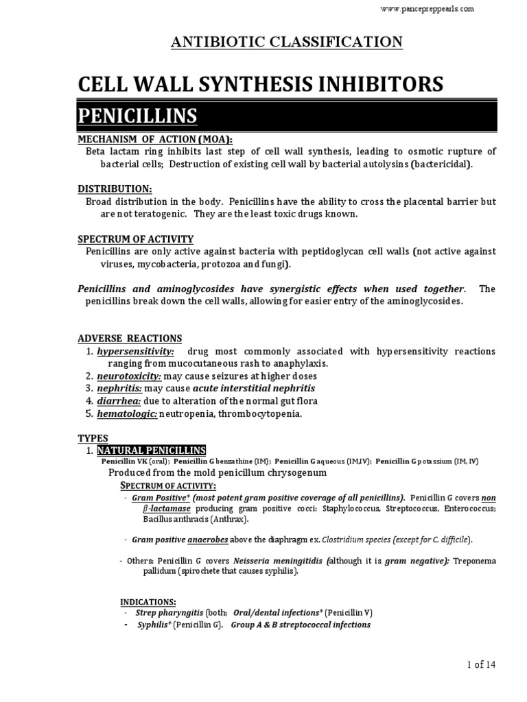 Pance Prep Pearls Antibiotics PDF PDF Penicillin Antibiotics