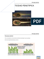 Plasticidad Fenotipica: Phenotypic Plasticity