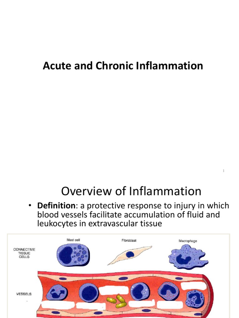 Understanding Acute and Chronic Inflammation | PDF | Inflammation ...
