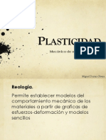 Plasticidad Miguel
