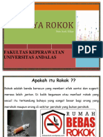 BAHAYA ROKOK