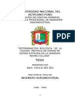 Universidad Nacional Del Altiplano-Puno: Tesis